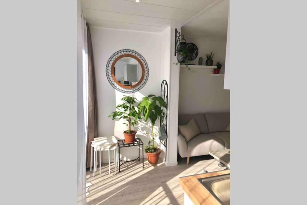 Grand Studio Cabine 30 M² Centre Ville, Refait A Neuf Pour Vous ! Climatise La Grande-Motte Exterior foto